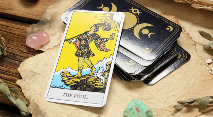 Fool Card Fool Card
